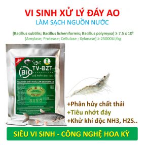 Men vi sinh - Công Ty TNHH Thương Mại Trung Việt